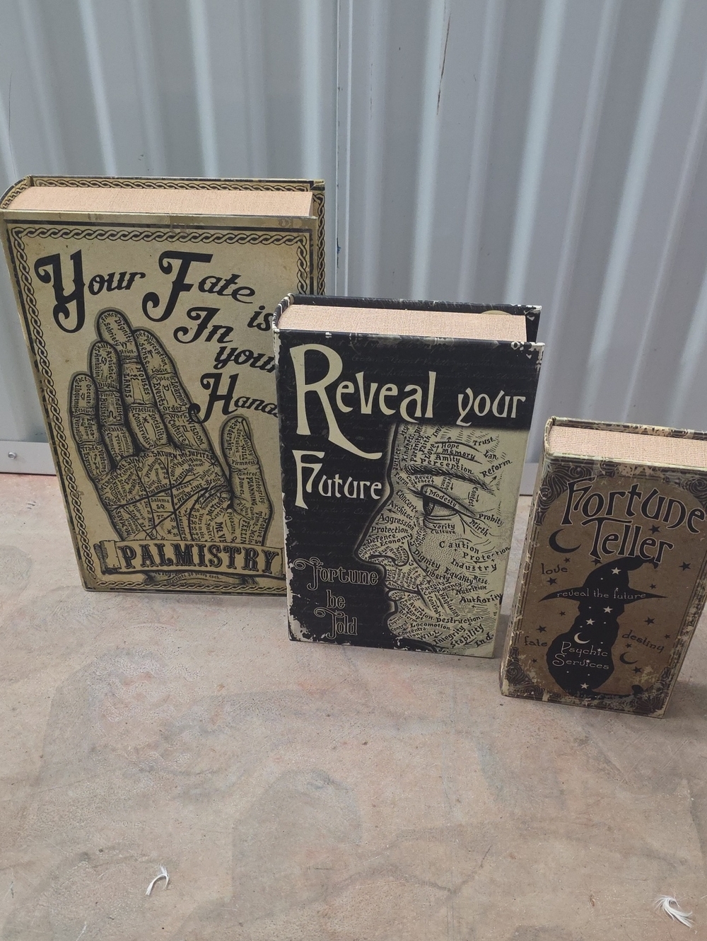 Halloween Fortune Teller Palmistry Storage Books New